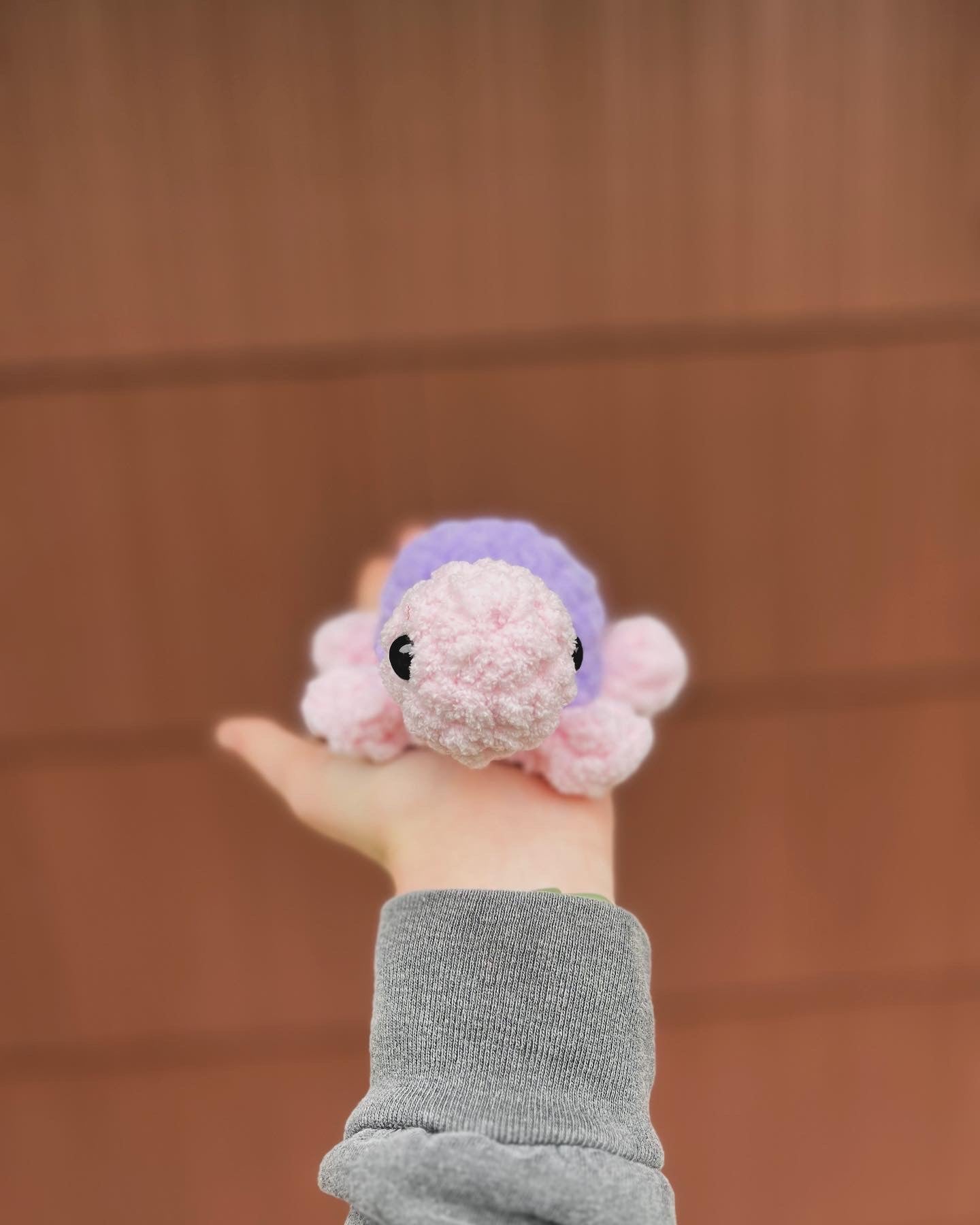 Little Land Turtle