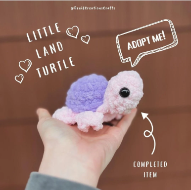 Little Land Turtle