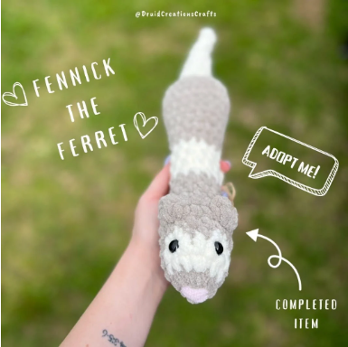 Fennick the Ferret